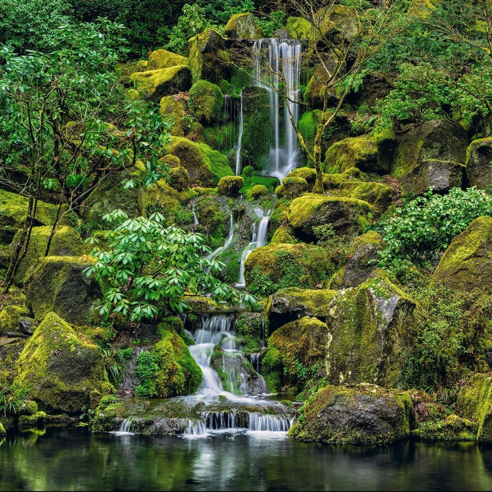 Peter Lik Original “JADE GARDEN”